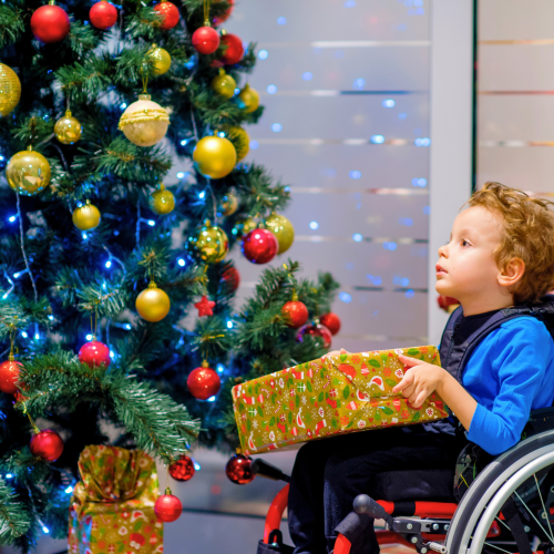 Leo photo Christmas Appeal 2025 Full size