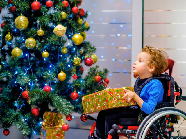 Leo photo Christmas Appeal 2025 Full size